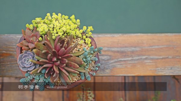 居于涟岸隐于湖,到肇庆体验离尘不离城的精致慢生活