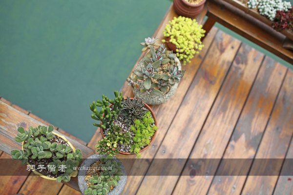 居于涟岸隐于湖,到肇庆体验离尘不离城的精致慢生活