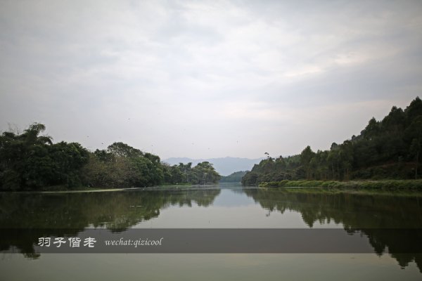 居于涟岸隐于湖，到肇庆体验离尘不离城的精致慢生活