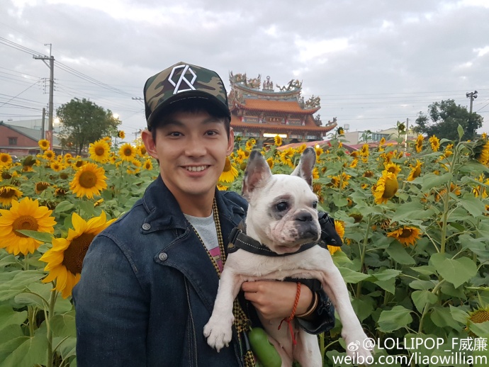 棒棒堂现状成员,曾经的棒棒堂成员都去哪了