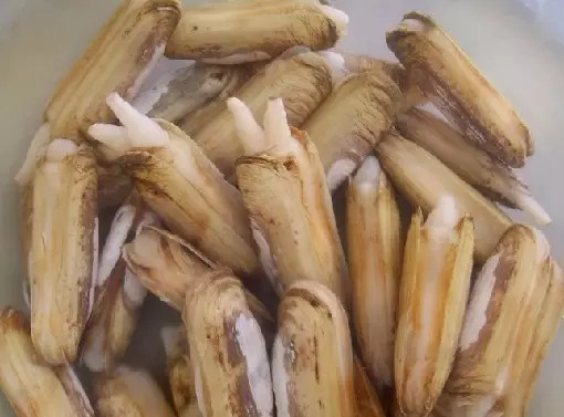 多种海鲜好吃美味来了解一下,海鲜美食大汇总