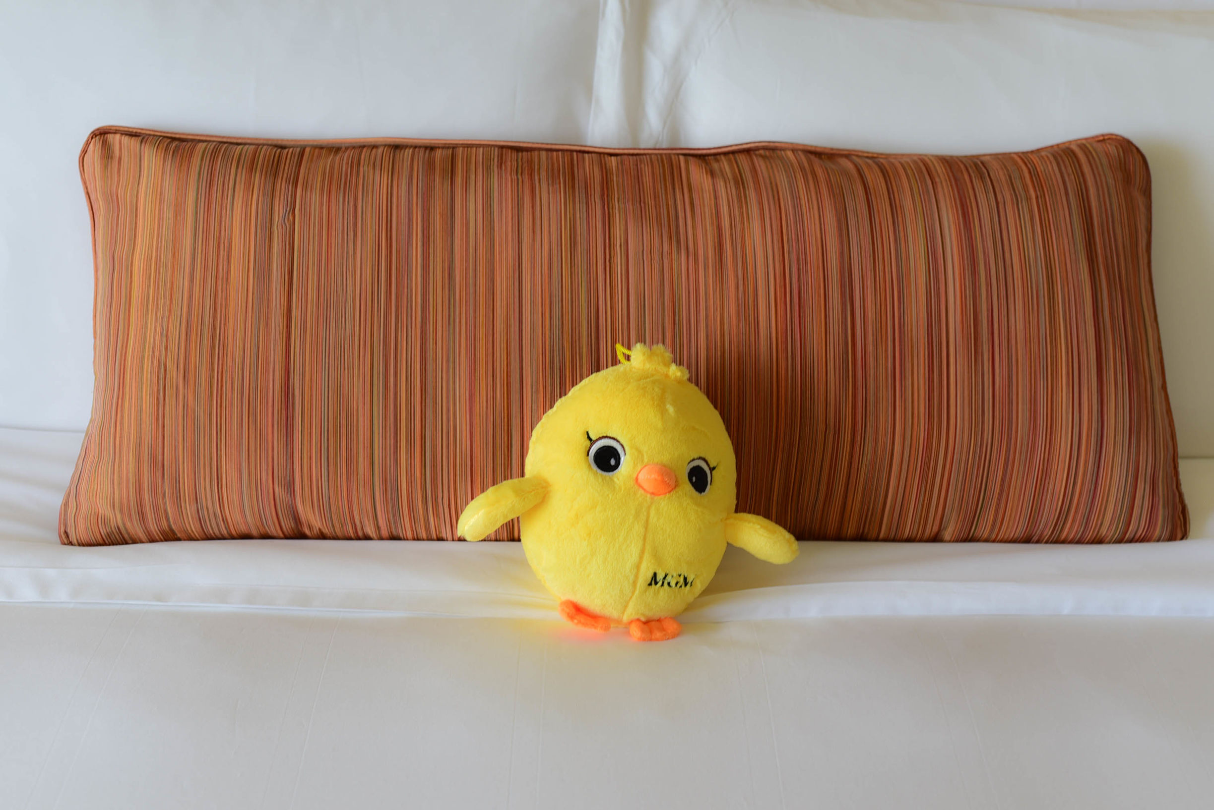 那片天空那片海这里的美人鱼不会游泳