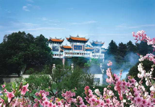 涓夌敓涓変笘鍗侀噷妗冭姳鐧芥祬,涓夌敓涓変笘鍗侀噷妗冭姳灏戣緵