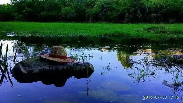 三月桃花盛开的季节,三月花儿红艳艳