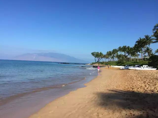 夏威夷毛伊岛旅行记 (毛伊岛旅游必做的100件事)