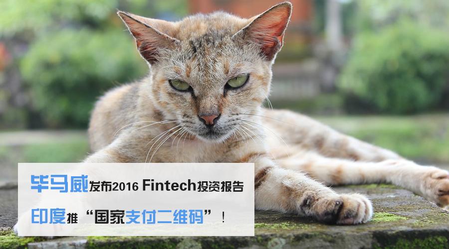 毕马威发布香港私人财富报告,毕马威投资价值分析