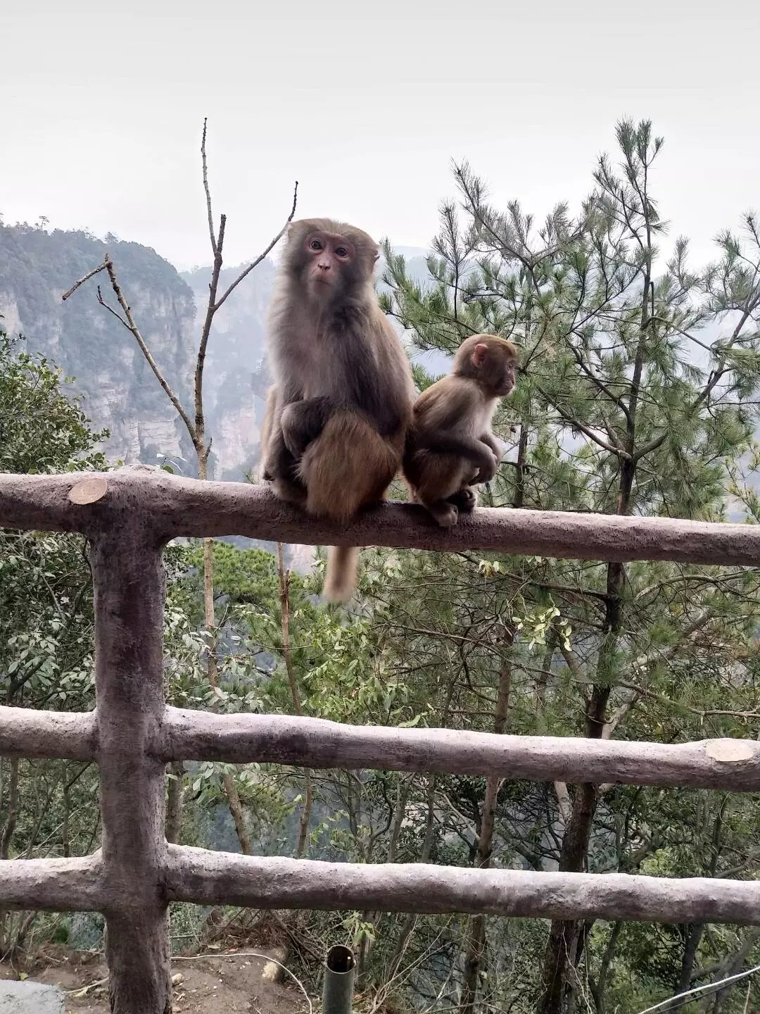 老人湖南旅游攻略,湘西旅游攻略中老年游玩