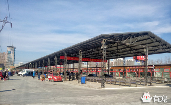 鐙楀競鎺㈣ (鎺㈣鐙楀競)