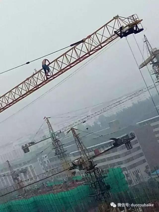 爱上多肉爱上生活,爱上多肉深似海