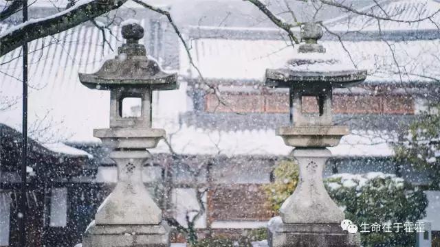 拉面 · 自动贩售机 · 雪｜云之彼岸的日本欢脱之旅