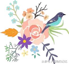 有哪些本子好看 (有哪些可爱的本子)