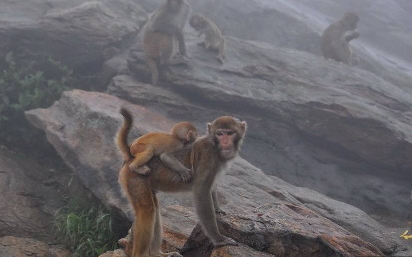 “东海第一圣境”连云港，神奇的山海“晶”