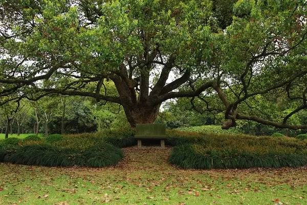 西郊宾馆环境介绍,西郊宾馆的历史了解一下