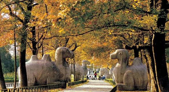南京哪个区离新街口近,南京南边有哪几个区