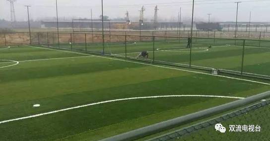 双流有哪些免费的足球场,成都双流24小时足球场