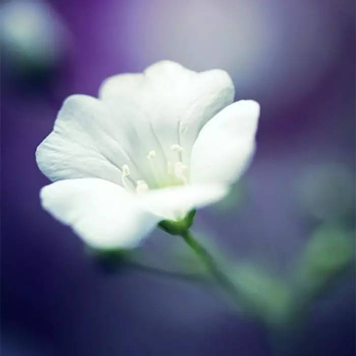 人生的三个境界，你到了哪一层？