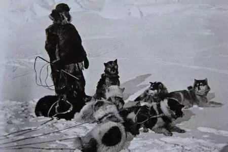 去南极前奏,去南极探险的故事