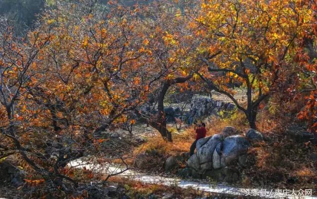 醉美滕州套餐,枣庄风景最美的景点