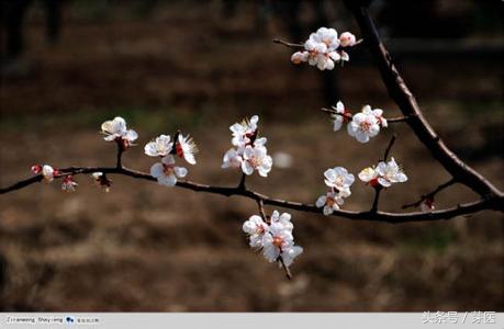 入春皮肤痒,入春脸突然痒怎么回事