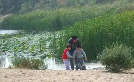 盘点北京38个森林公园,定个小目标完整版免费