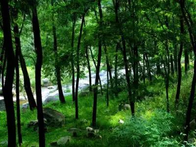 盘点北京38个森林公园,定个小目标完整版免费