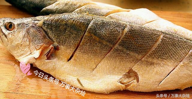 炖海鱼的家常做法,炖海鱼的家常做法大全