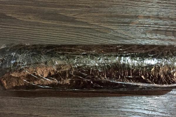 九种花样寿司的做法,花式寿司100种做法大全