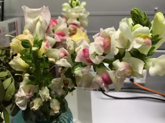 我们用1000元的教训告诉你:包月鲜花全是坑!一家都不推荐!