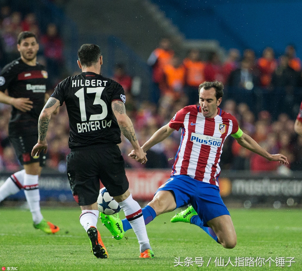 仙人指路股票指标,仙人指路最新推荐