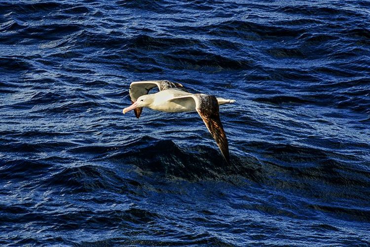 嗨哩文旅丨在世界的尽头的九个日日夜夜