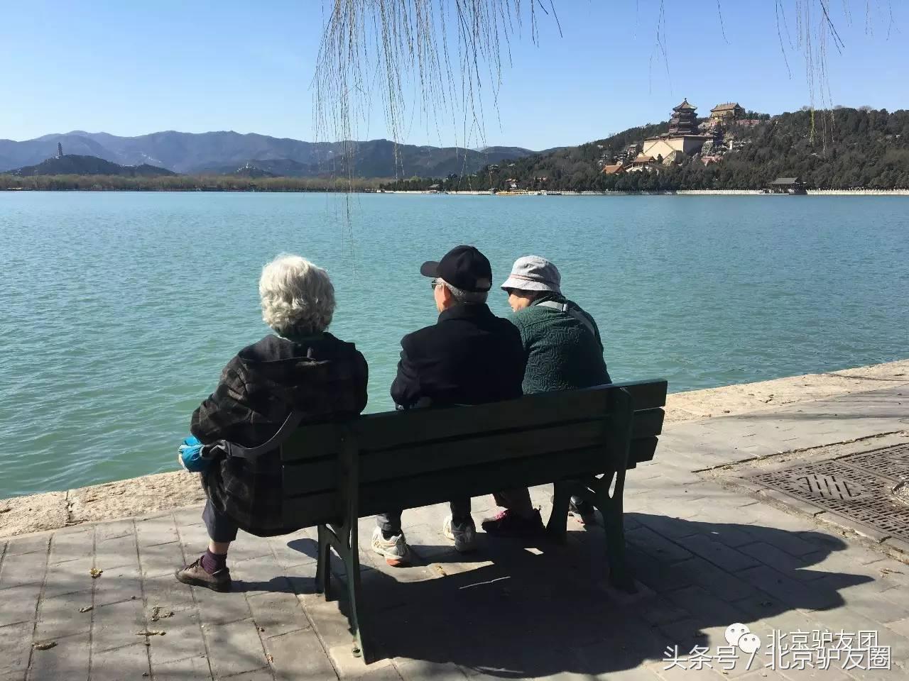 颐和园最美人间四月天,颐和园最美紫色花海