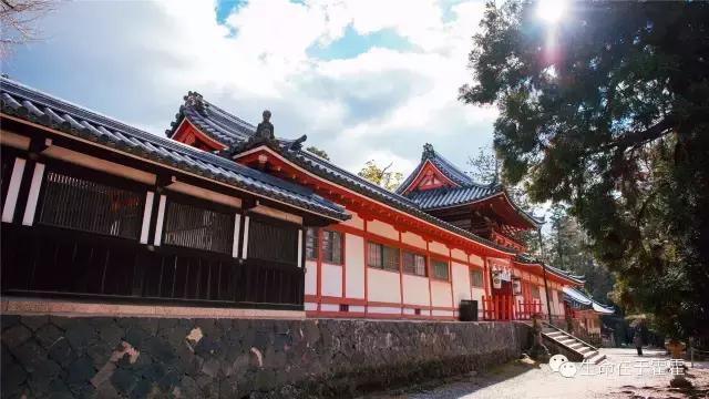 拉面 · 自动贩售机 · 雪｜云之彼岸的日本欢脱之旅