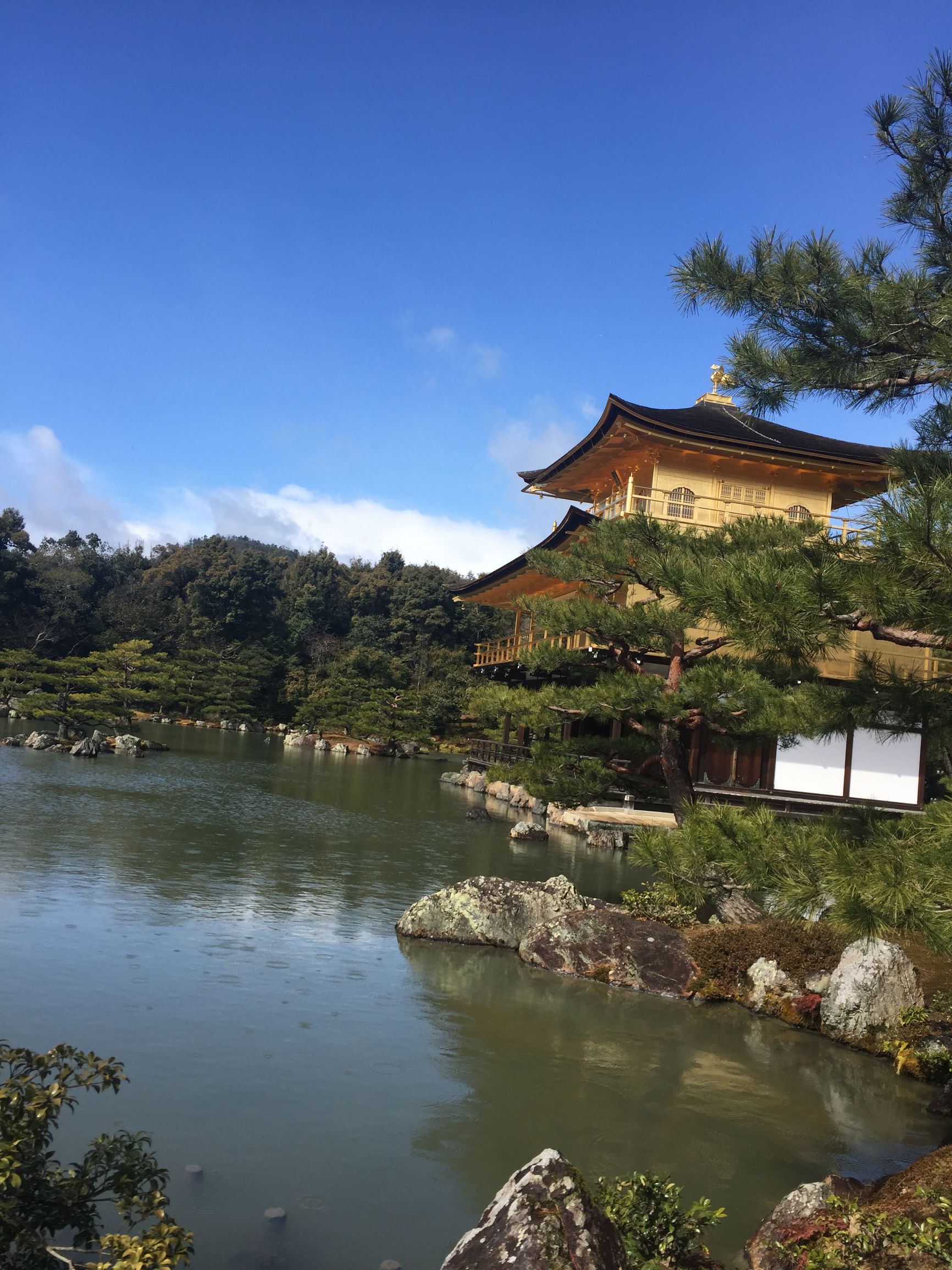 茶之道在于心静,茶是心静的良药