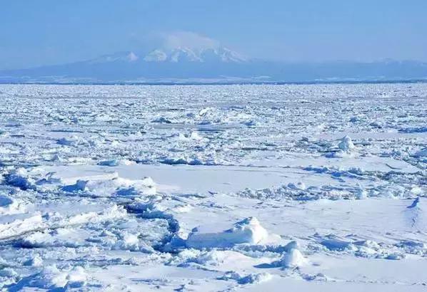 对不起，我要去吃1元1根的薯条了！