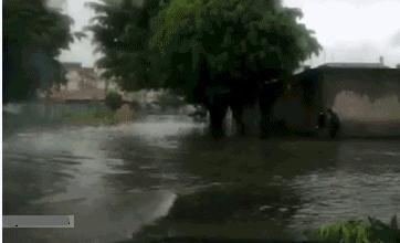 神龙大摆尾恶搞,神龙摆尾车的搞笑视频