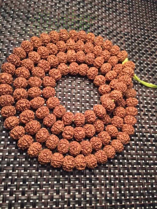 金刚圈子里混三年，这些品种都够呛能认全！