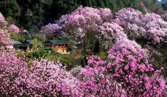 江油值得一逛,江油小城美不美