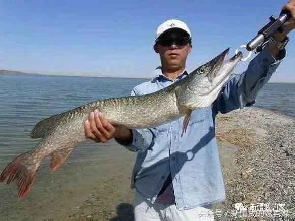 全国各省：我出上联！*疆新**丫头：我对下联！太有才了！