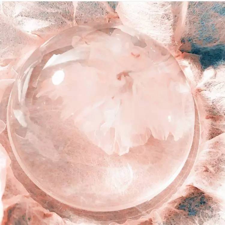 樱花限定款，一起粉出少女味｜时令