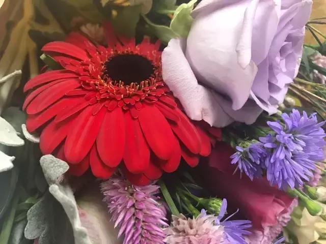 我们用1000元的教训告诉你:包月鲜花全是坑!一家都不推荐!