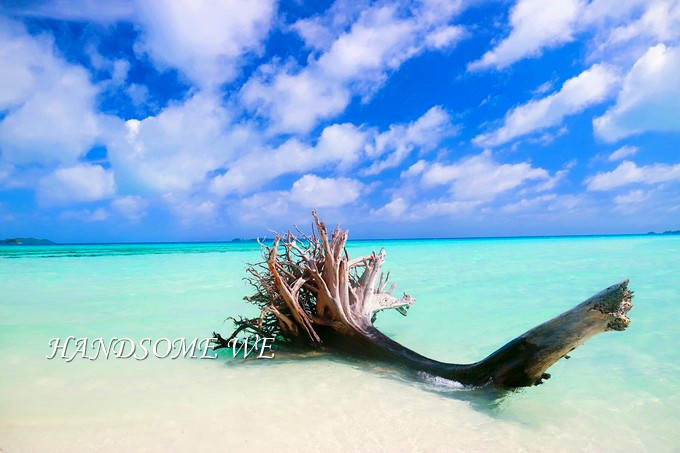 没水母湖的帕劳,帕劳水母湖怎么去