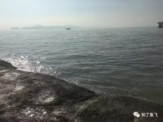 一位美丽学姐的暖心游记｜初见，厦门