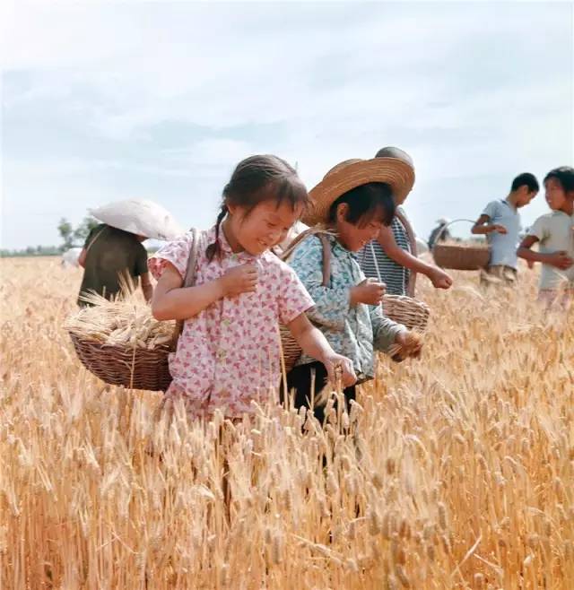 珍藏六十年的老照片,珍藏八十年老照片现在收藏价值