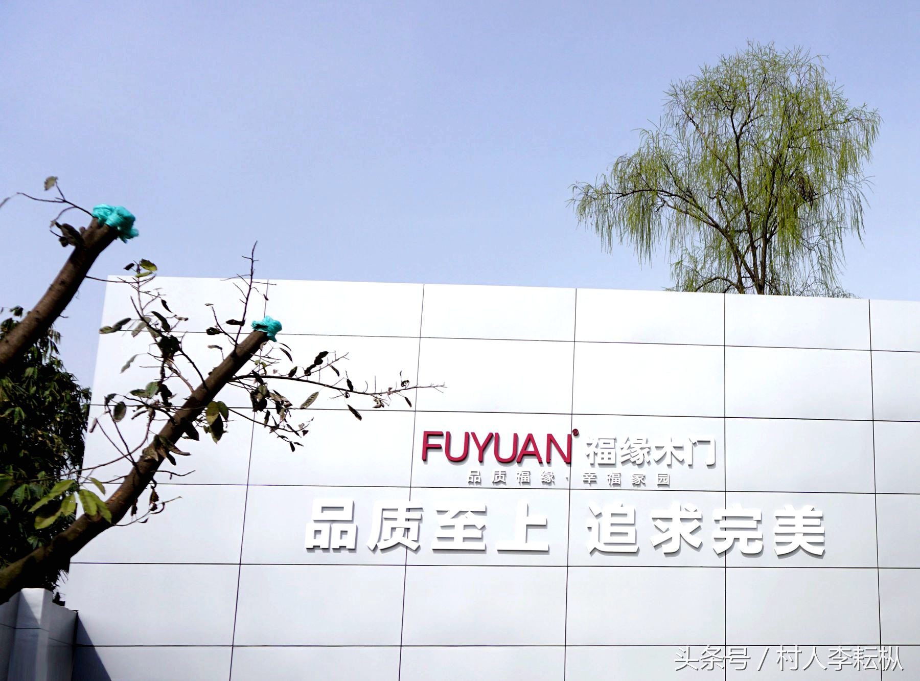 李戈经历,李戈叹情缘