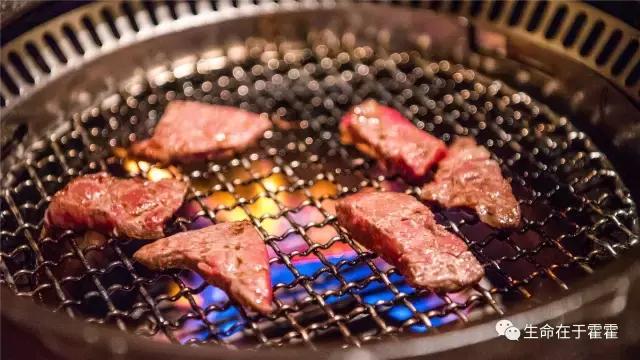 拉面 · 自动贩售机 · 雪｜云之彼岸的日本欢脱之旅