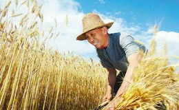 农家学习趣事大全集,农家院趣事