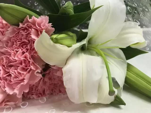 成都鲜花包月99每月4次,花费上万测评1个月