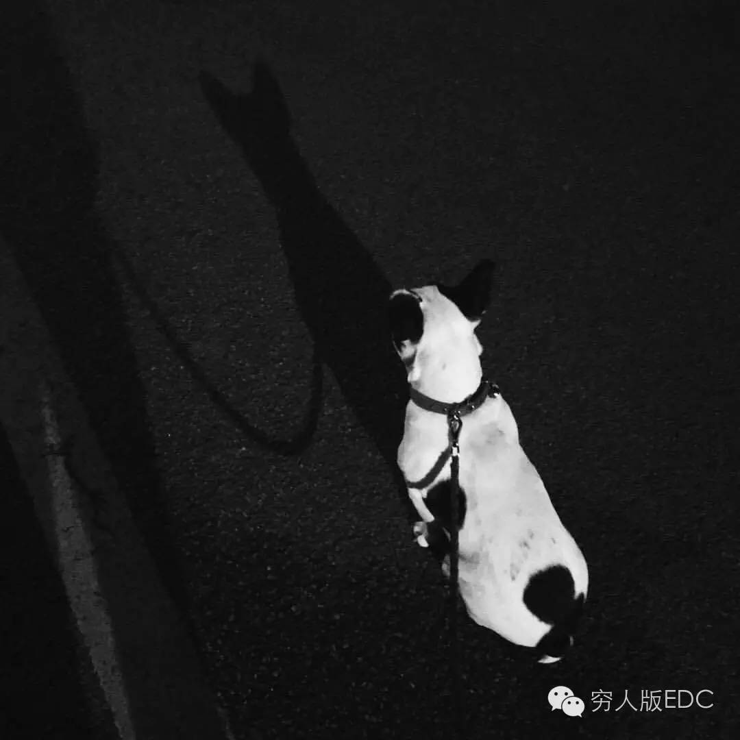 关于国潮的视频,有关国潮