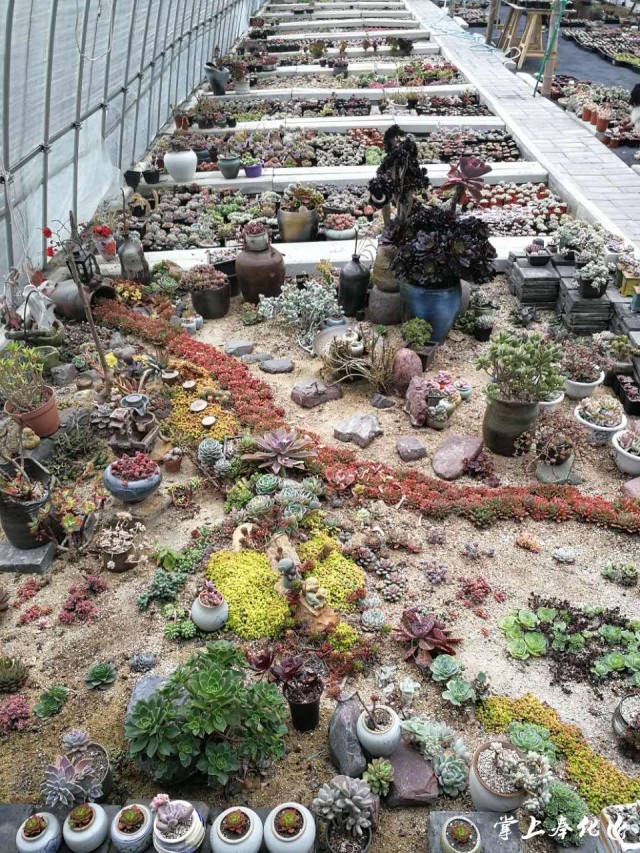 三星新款手机降价周期,韩货在中国滞销