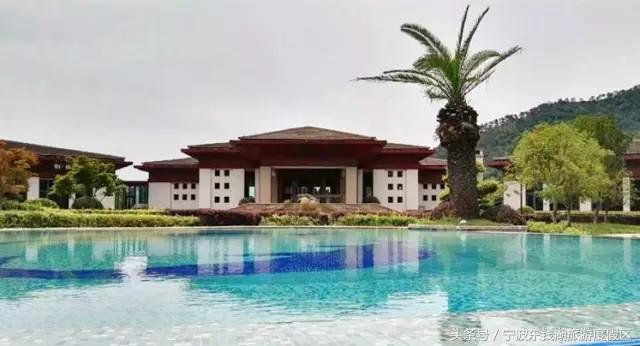 花讯播报泡汤赏花SPA住客房，只在南苑花博园！